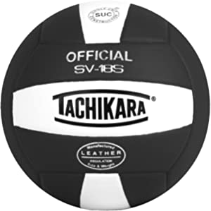 10 Best Indoor Volleyballs | June 2023 (Reviewed & Ranked)