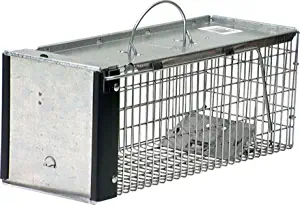 Havahart 0745 Extra Small 1-Door Humane Catch and Release Live Animal Trap for Squirrels, Chipmunks, Rats, Weasels, and Small Animals