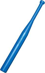 Champion Sports 30 Inch Hollow Plastic Bat