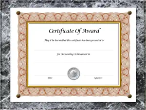 10 Best Award Plaques | June 2023 (Reviewed & Ranked)