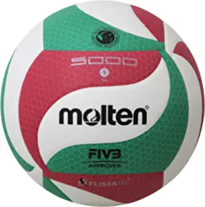 Molten Volleybal V5M5000