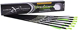 10 Best Archery Crossbow Bolts | June 2023 (Reviewed & Ranked)