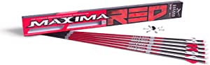 10 Best Archery Hunting Arrows | June 2023 (Reviewed & Ranked)