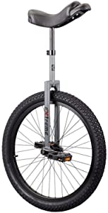 Sun Bicycles Unicycle Sun 24In Extreme 2014 Grey