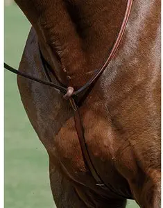 Suffolk by Dover Saddlery Raised Standing Martingale, Oversize-O/S, Brown