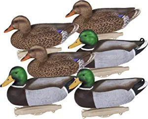 10 Best Hunting Decoys | June 2023 (Reviewed & Ranked)