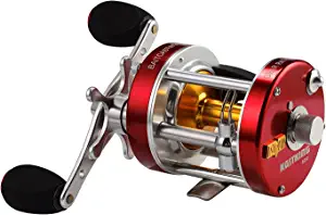 10 Best Baitcasting Fishing Reels | June 2023 (Reviewed & Ranked)