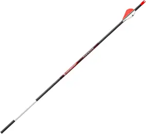 BLOODSPORT Punisher Precise Durable Carbon Fletched Hunting Arrow for Compound Bow - 31" Length.244" Standard-Diameter.004" Straightness, 6 Pack, 350 Spine
