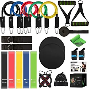 23 Pack Resistance Bands Set Workout Bands, 5 Stackable Exercise Bands 5 Loop Resistance Bands 2 Core Sliders Door Anchor Handles Ankle Straps Carry Bag Instant Cooling Towel Wrist Wraps