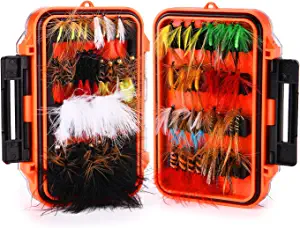 Fly Fishing Flies Kit with Box, Dry Wet Flies, Nymphs, Streamers for Bass Salmon Trout Fishing 120Pcs/64Pcs