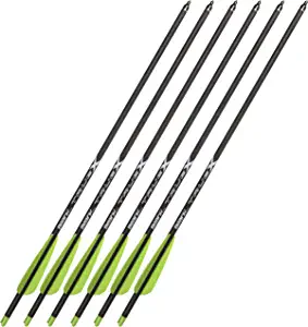 Bear X 6-Pack Truex Crossbow Arrows - 20", ACBK20, Black (Black)