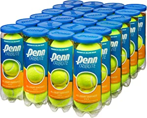 Penn Tribute Tennis Balls