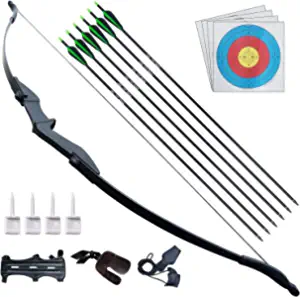 D&Q Archery Bow and Arrow for Adults Beginner Takedown Recurve Bow Archery Set 30 40Lbs for Left and Right Handed Hunting Training Practice
