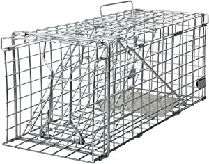Gingbau Heavy Duty Live Animal Trap for Squirrels, Small Rabbits and More