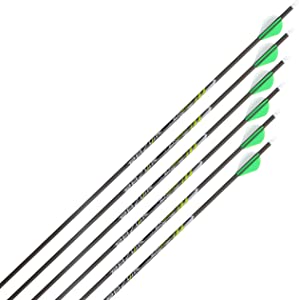 Allen Company Carbon Compound Bow Arrows - Archery and Hunting Carbon Arrows for Longbow, Recurve and Compound Bows Broadhead Not Included - Razor ZX600 29-31IN: 3 Pack