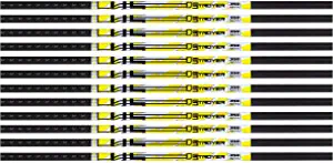 Carbon Express D-Stroyer Hunting Arrow Shafts with 2" Quadel Vanes, 12-Pack, High Modulus Carbon Weave, Dual Spine Weight Forward Technology, Laser Checked