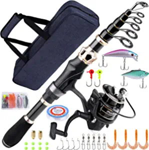 PLUSINNO Fishing Pole Fishing Rod and Reel Combos Carbon Fiber Telescopic Fishing Rod with Reel Combo Sea Saltwater Freshwater Ki
