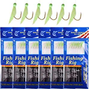 OROOTL Fishing Rigs Saltwater Bait Lures, 6 Packs Fishing Bait Rigs with Fish Skin High Carbon Steel Hooks Glow Bait Rig Tackle Size 4 6 8