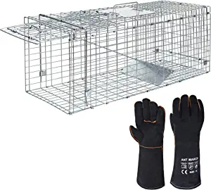 ANT MARCH Live Animal Cage Trap 32''x11.5"x13" Steel Humane Release Rodent Cage with Gloves for Rabbits, Stray Cat, Squirrel, Raccoon, Mole, Gopher, Chicken, Opossum, Skunk, Chipmunks, Groundhog