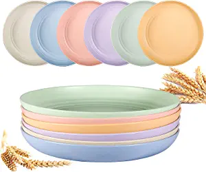 6 Pack Reusable Plastic Plates - OAMCEG 9 Inch Unbreakable Eco-Friendly Lightweight Wheat Straw Plates, Salad Plates, Camping Plates, Dishwasher & Microwave Safe, BPA FREE, Green and Healthy Dishes
