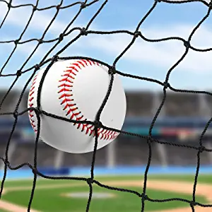 Wiseek Baseball Softball Backstop Nets, Heavy Duty Sports Netting Barrier #18 Nylon Baseball Netting 10'x20'/10'x30'(Net Only)