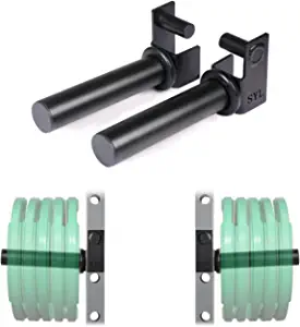 SYL Fitness Olympic Weight Plates Holder Power Rack Attachment Weights Storage Rack, Fit 2x2 inch, 2x3 inch & 3x3 inch Square Tube