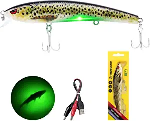 TRUSCEND Electronic Twitching Jerkbait, LED Robotic Minnow Fishing Lure USB Rechargeable, Long Cast & Slow Sinking Bass Lures, Lighted Fishing Lures for Freshwater Saltwater Ice Fishing, Night Fishing