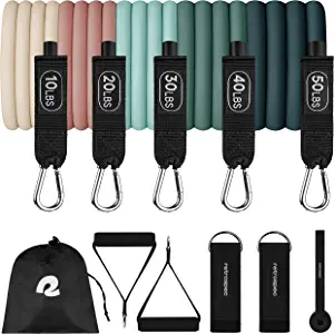 Retrospec Train Resistance Bands Set (5pc) Workout Bands w/ Handles, Door Anchor, Carry Bag for Women & Men