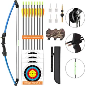 Aimdor Kids Bow and Arrow Set Youth Compound Bow and Arrow Practice Bow Kids Birthday Gift Left and Right Hand Bow Beginner Bow with 8 Arrows and Quiver for Outdoor Play