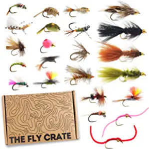 Fly Fishing Flies Kit | 40 Premium Fly Fishing Flies Assortment for Trout | Dry Flies, Nymph, Wet, Streamers, Wooly Bugger Flies | Trout Lure Set Kit