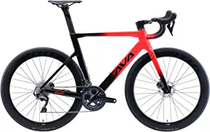 SAVADECK Carbon Road Bike, Full Carbon Fiber Road Bicycle for Men/Women,T800 Carbon Fiber Frame 700C Wheel 28C Tire Road Bike 22 Speed Disc Brake Bike with Shimano ULTEGRA Groupset and FIZIK Saddle