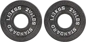 BOLUX Cast Iron Olympic Weight Plates Free Weights with 2-inch Hole & Anti-Rust Hammertone Finish - Ideal for Strength Training, for Muscle Toning, Weight Loss & CrossfitSold in Pairs - 2.5LB10LB