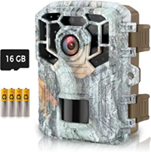 HAWKRAY Trail Camera,1080P 16MP Mini Hunting Game Cameras with 16GB SD Card and 4 Batteries 120 Wide-Angle Night Vision Motion Sensor 0.2s Trigger Speed Small Trail Game Cam IP65 Waterproof 2.0" LCD