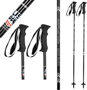 10 Best Downhill Ski Poles | June 2023 (Reviewed & Ranked)