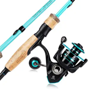 Sougayilang Fishing Rod and Reel Combo, Stainless Steel Guides Fishing Pole with Spinning Reel Combo for Saltwater and Freshwater