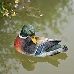 MONT PLEASANT Duck Hunting Decoy Garden Decor Mallard Turkey Decoy Realistic Plastic Floating Ducks for Pond Decorations Goose Decoys Pigeon Decoys