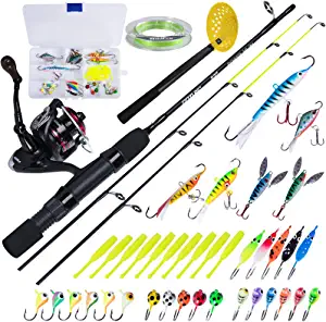 Goture Ice Fishing Rod Twin Tip, 27"/32" Ice Spinning Rods, 2 Different Action Tips in One Rod, Medium/ Medium Light, High Visibility Ice Rod with EVA Handle, 2 Different Models-Graphite